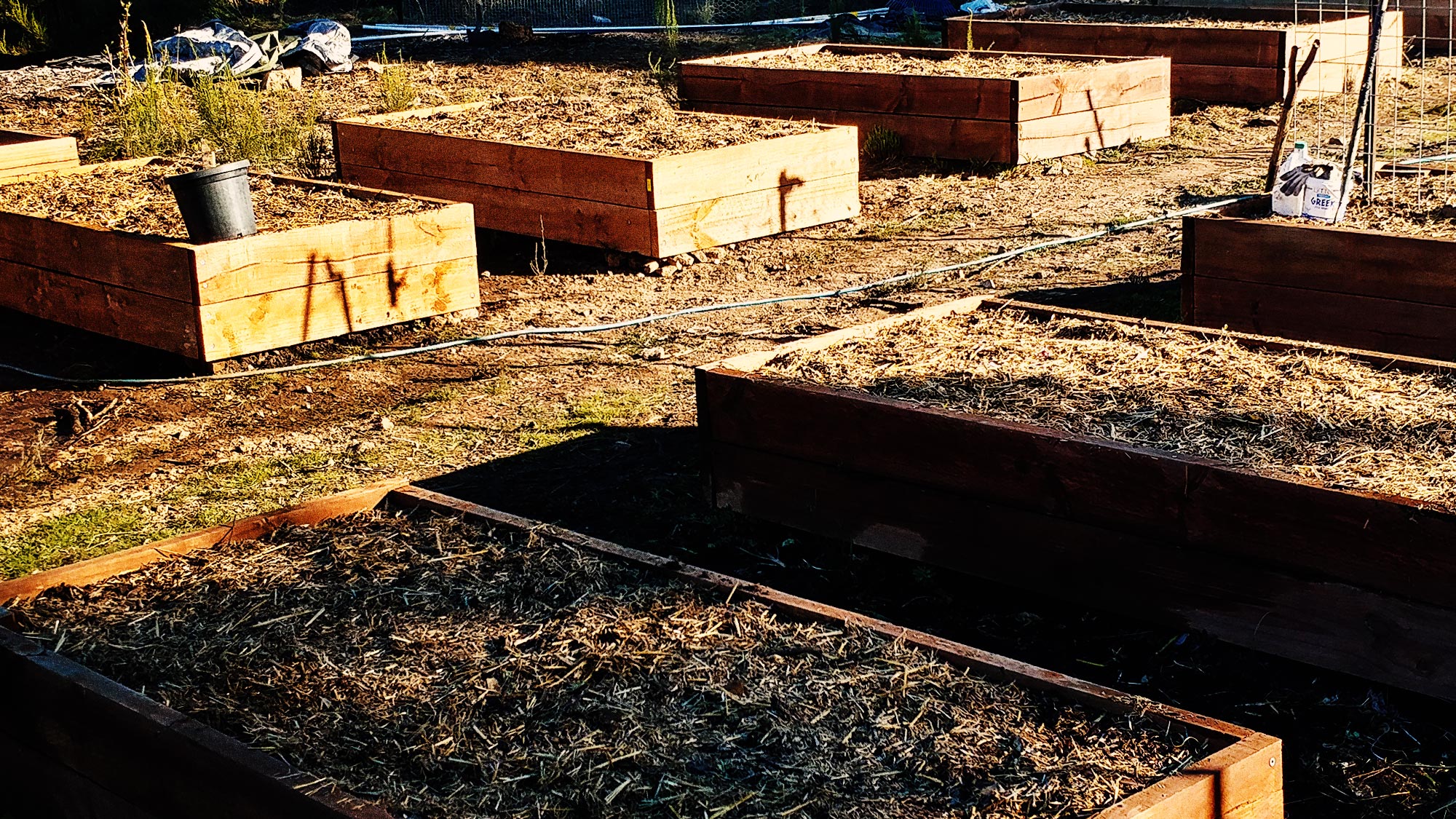 Garden beds