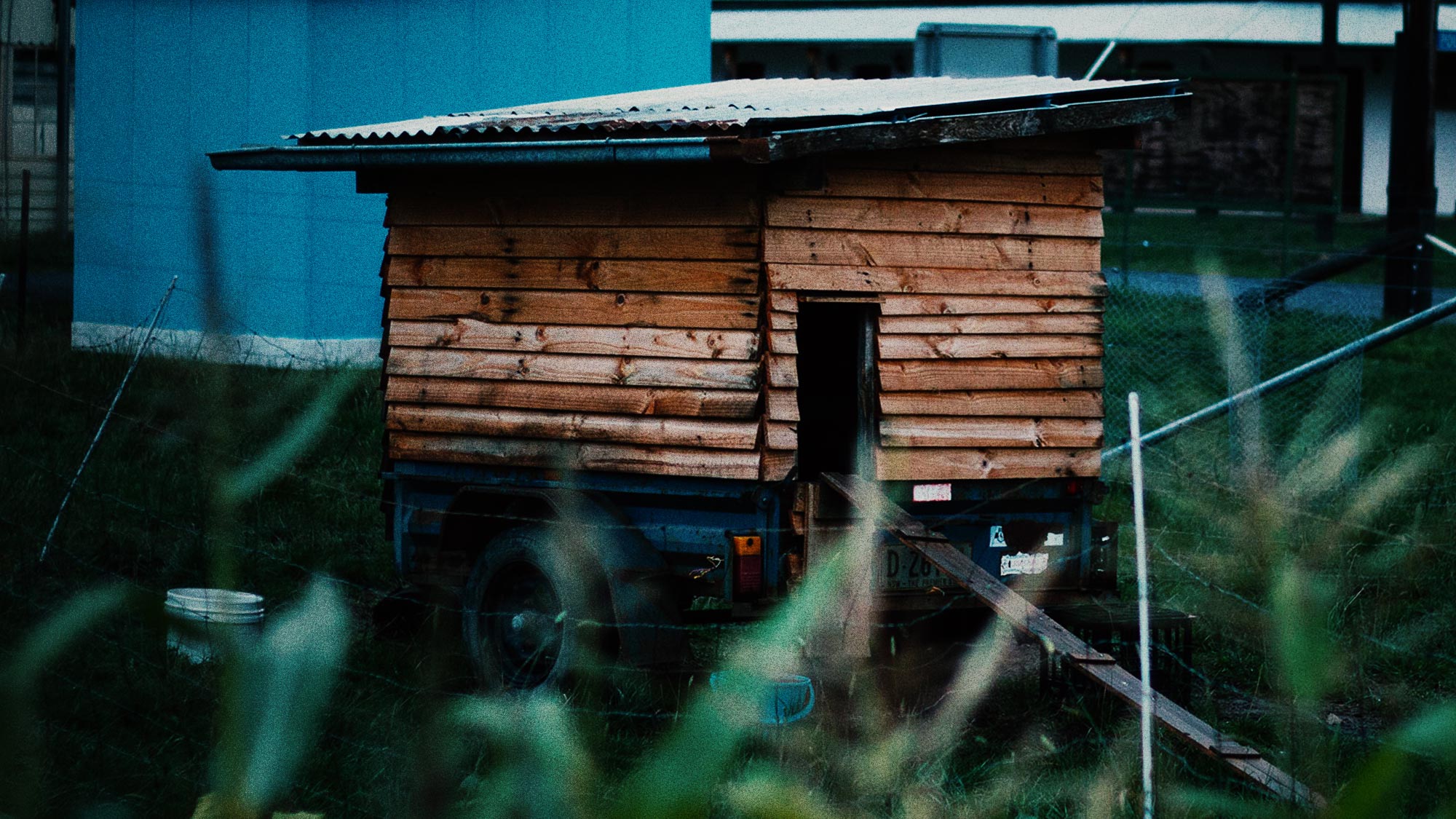 Dirtfolk garden project